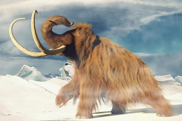 Izložba „Prapovijesne životinje Hrvatske“