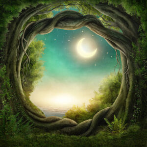 Enchanted dark forest in the moonlight